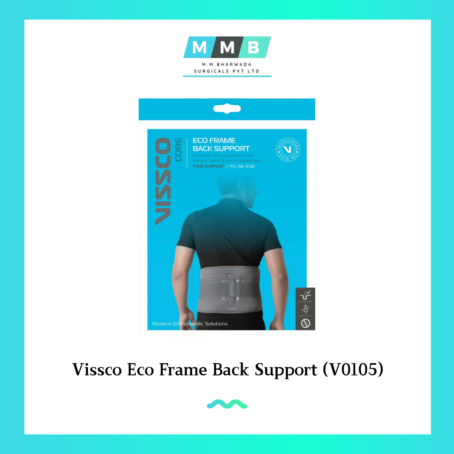 Vissco Eco Frame Back Support (V0105)